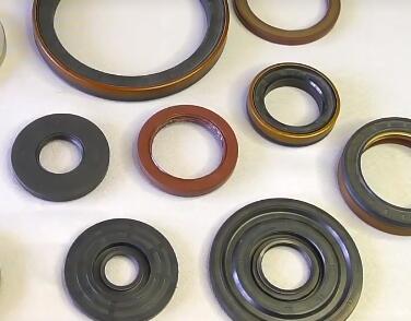 We Olny Produce High Quality Oil Seal